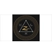 ico 4