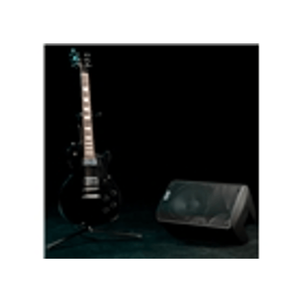 Alto Professional TX310