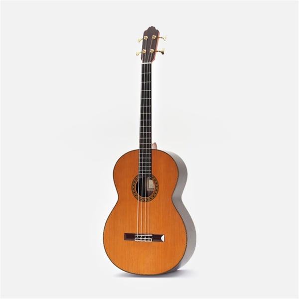 Esteve Octave Bass 4 Chitarra Contrabbasso