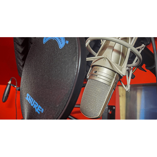 Shure KSM44A-SL Microfono condensatore cardioide, omni, figura 8