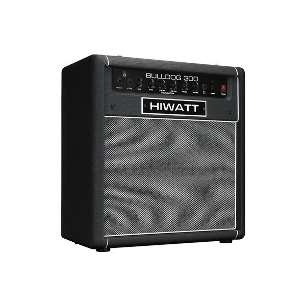 Hiwatt Bulldog 300 Combo per basso 1x15 300 W