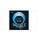 ico 2