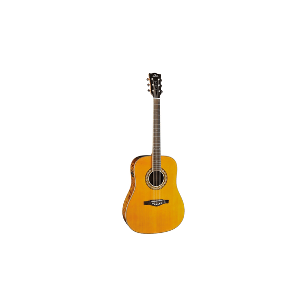 Eko Guitars Ranger Futura