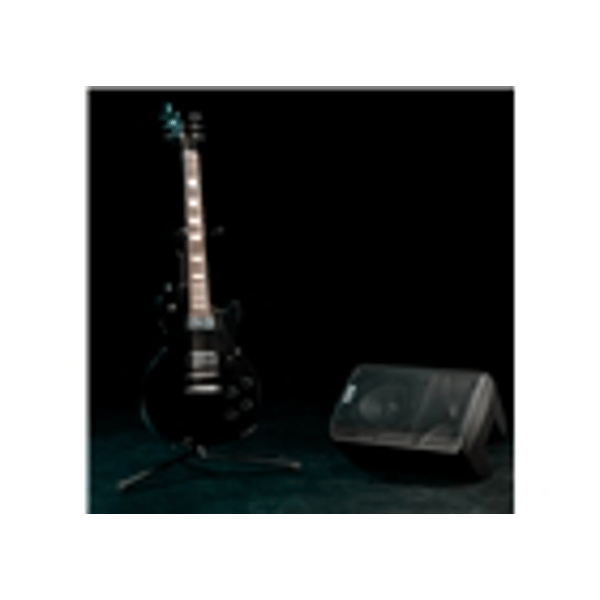 Alto Professional TX308