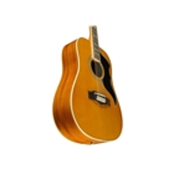 Eko Guitars Ranger XII VR Eq Natural Top Stained