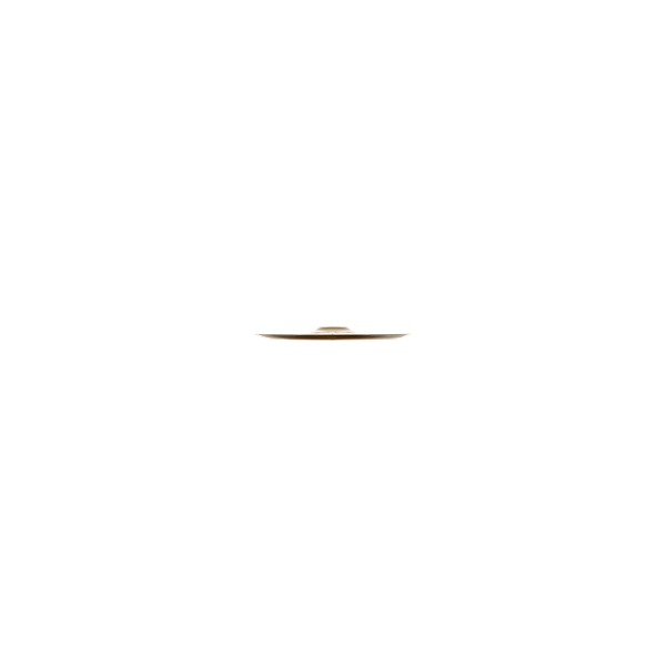 Zildjian A0612-12" FX China Trash