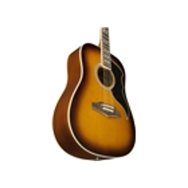 Eko Guitars Ranger VI VR Honey burst