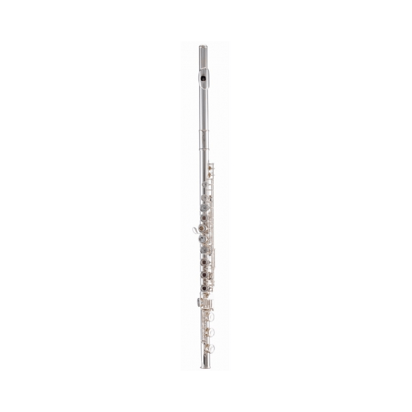 EXTREME JBFL-9148S FLAUTO TRAVERSO 17 FORI MI MECCANICO E6 + ACCESSORI E CUSTODIA SEMIRIGIDA