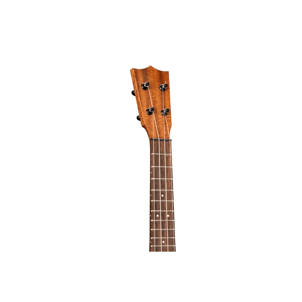 Martin &amp; Co. Centennial Concert Uke