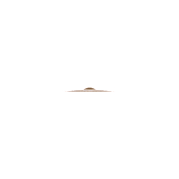 Zildjian K0910-14" K Mastersound HiHat Top
