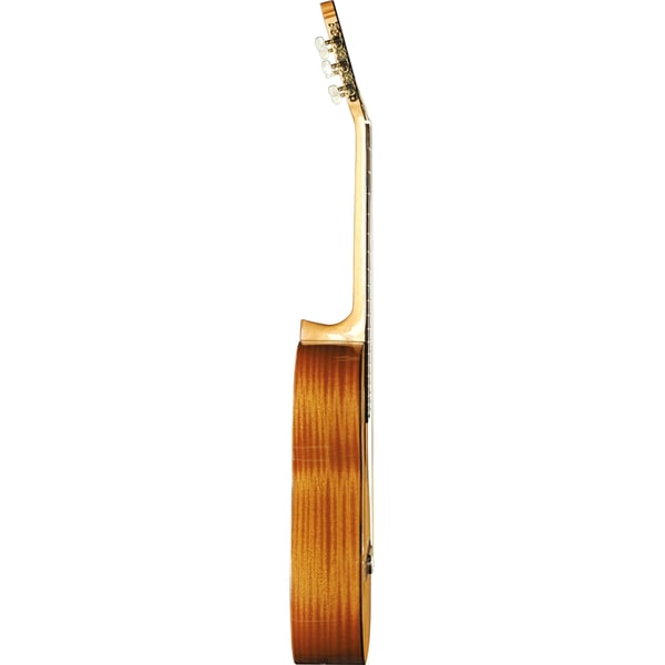 Eko Guitars EKO CHITARRA Vibra 300 Natural