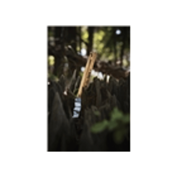 Vic Firth 7AT - Bacchette American Classic TERRA