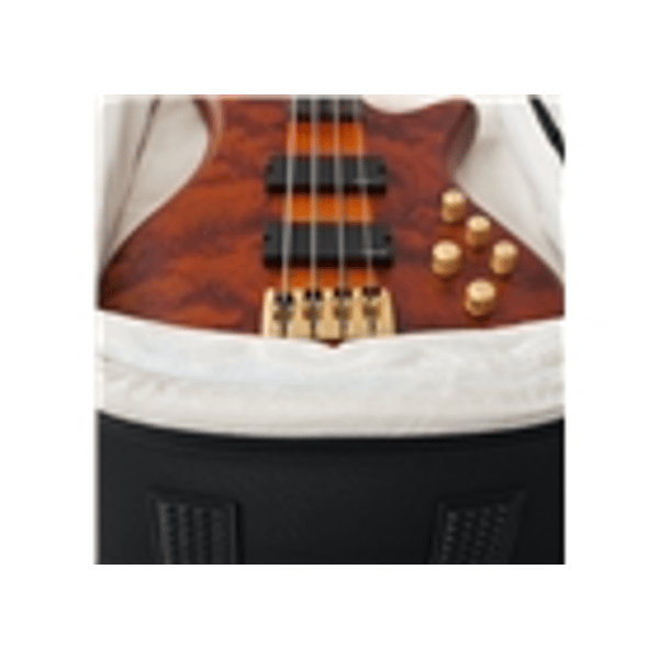Gator Cases G-PG BASS 2X Borsa ProGo due bassi