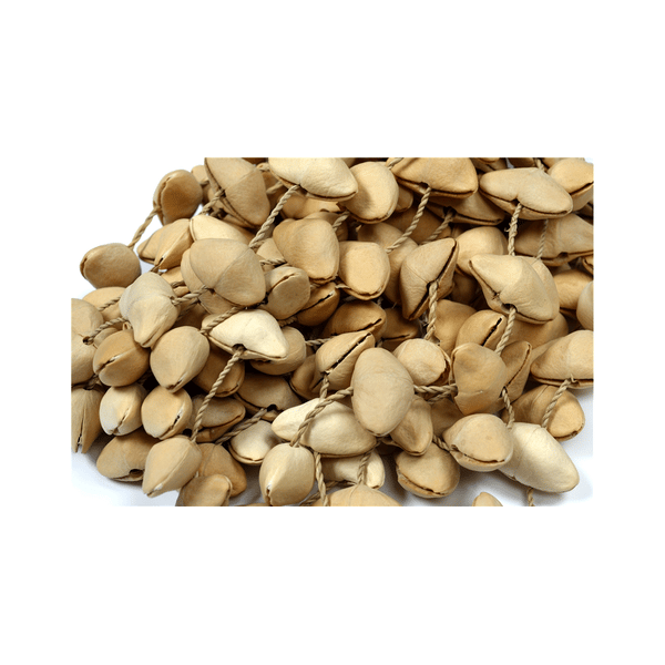 Tanga SHAKER-KENARI-L Shaker composto da conchiglie