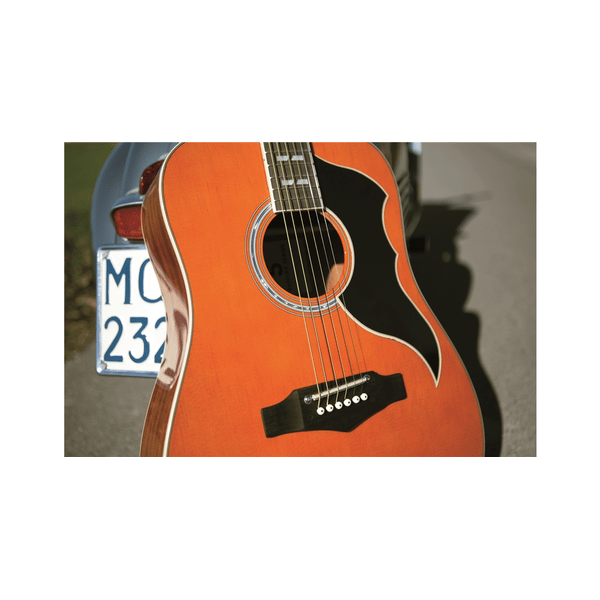 Eko Guitars Ranger VI VR Natural Top Stained