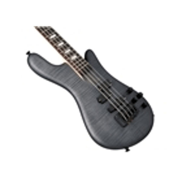 Spector Euro 4 LX Bolt-On - Black Stain