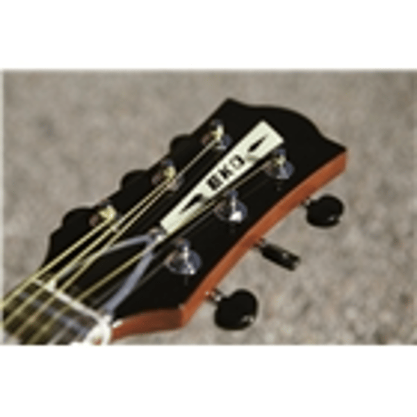 Eko Guitars Ranger VI VR Natural Top Stained