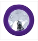 ico 4