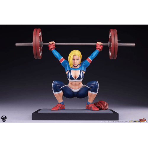 Powerlifting SF6 41 cm