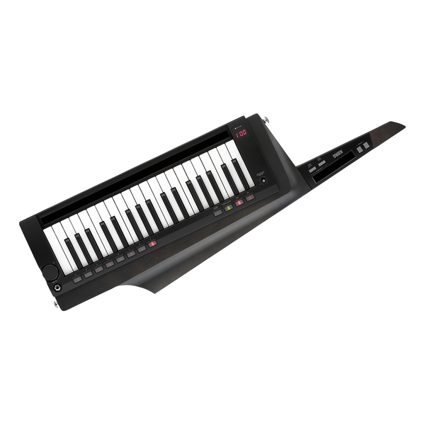 Korg RK-100S2-BLK
