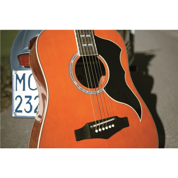 Eko Guitars Ranger VI VR Natural Top Stained