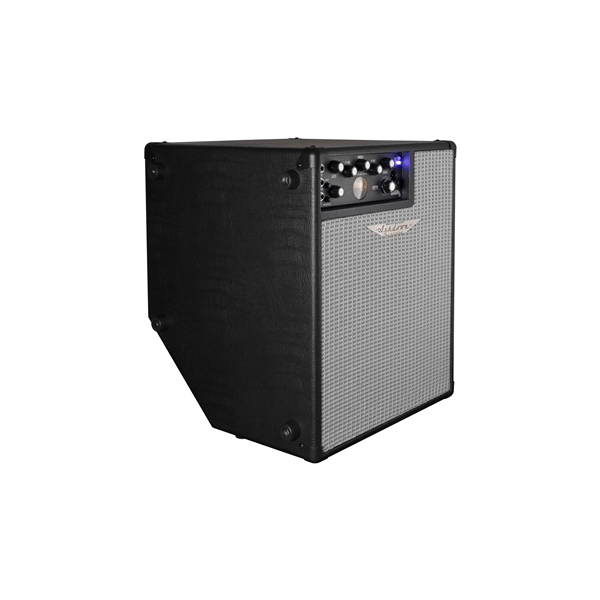 Ashdown ORIGINAL EVO C112-300