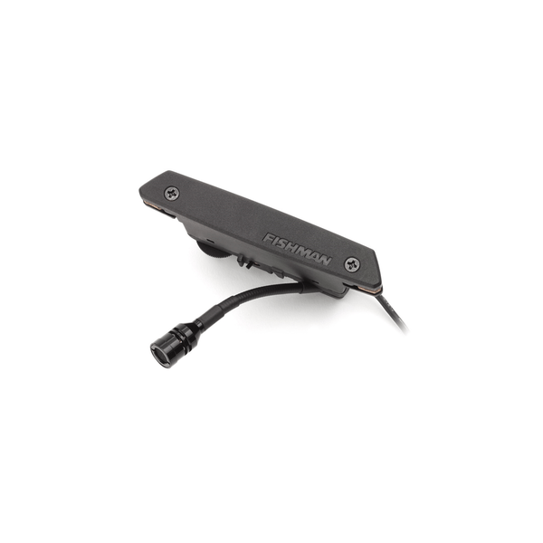 Fishman Rare Earth Soundhole Mic Blend Pickup