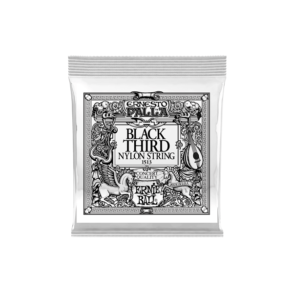 Ernie Ball 1513 Ernesto Palla Black 3ª .040