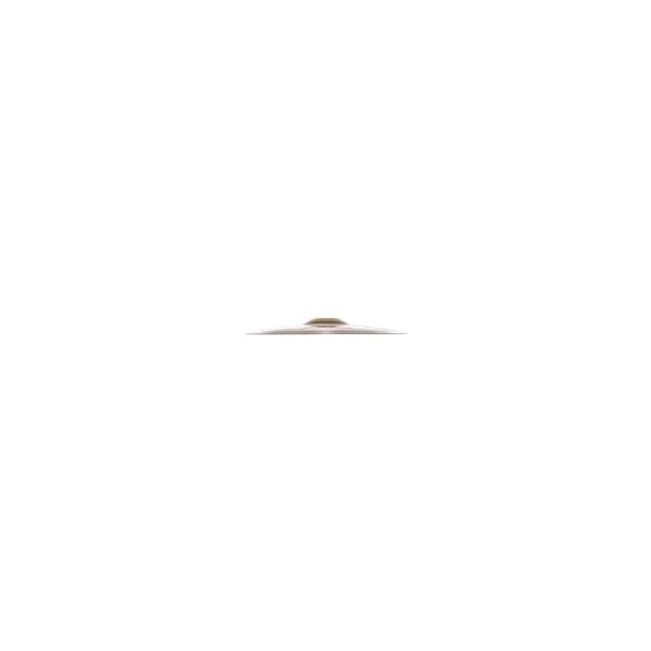 Zildjian S10S-10" S Splash