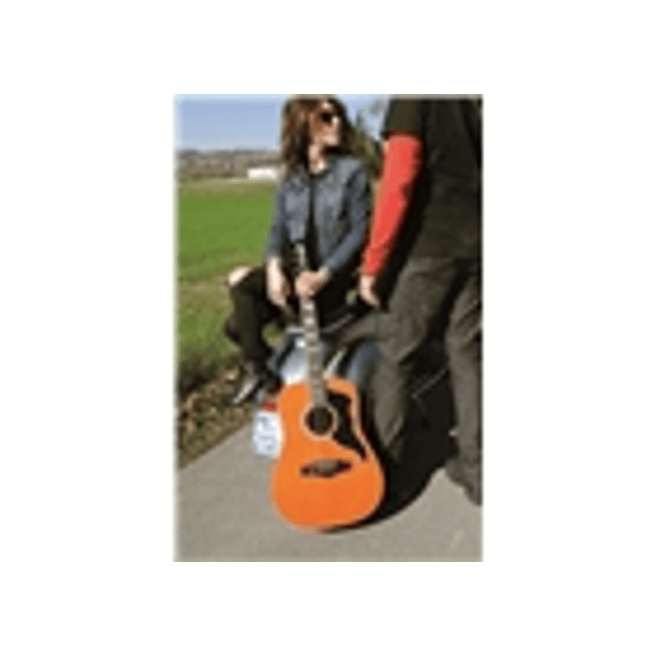 Eko Guitars Ranger VI VR Natural Top Stained