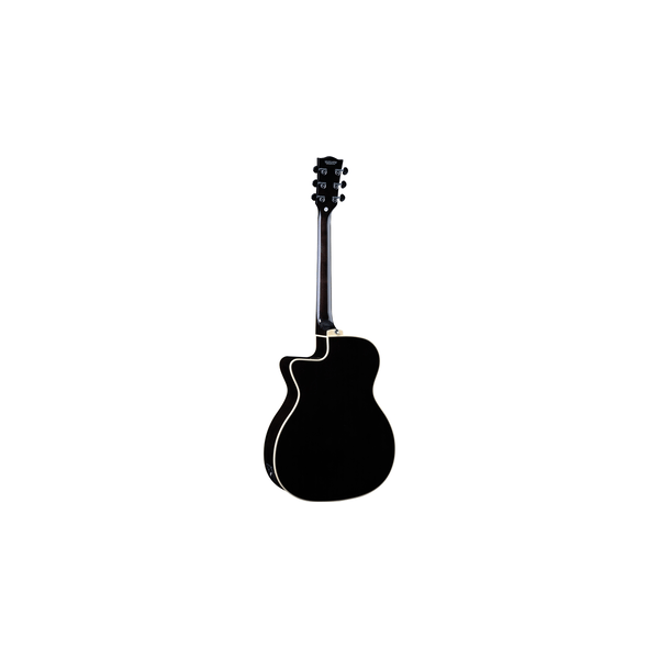 Eko Guitars NXT A100ce See Through Black