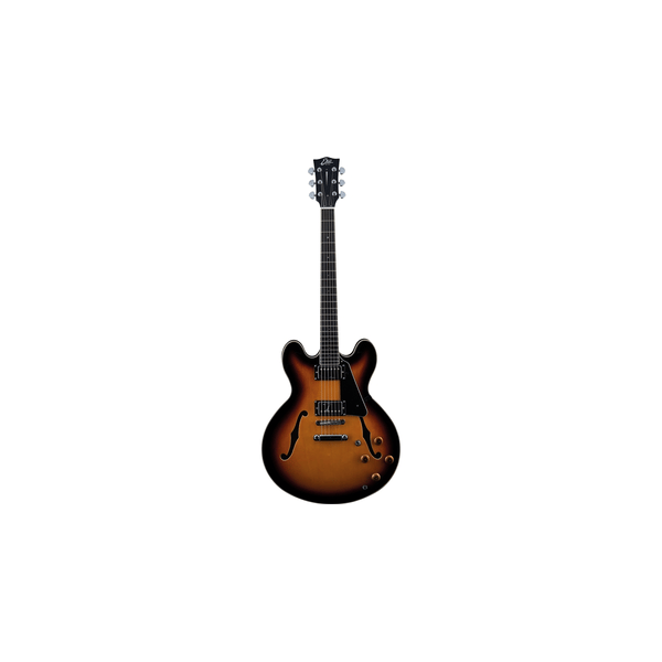 Eko Guitars SA 350