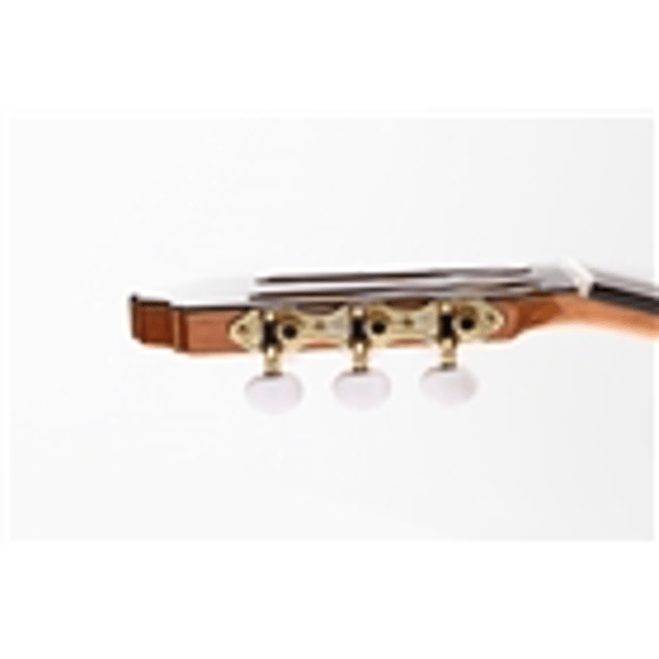 Esteve Alegria Chitarra Classica
