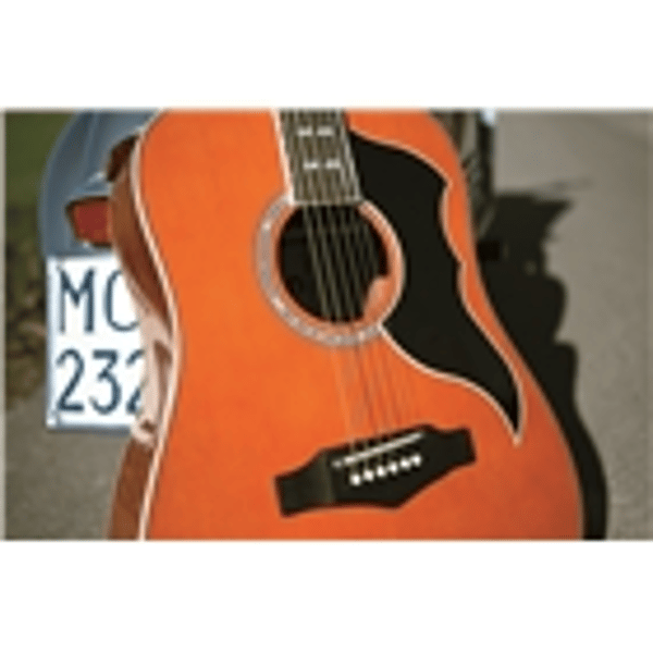 Eko Guitars Ranger VI VR Natural Top Stained