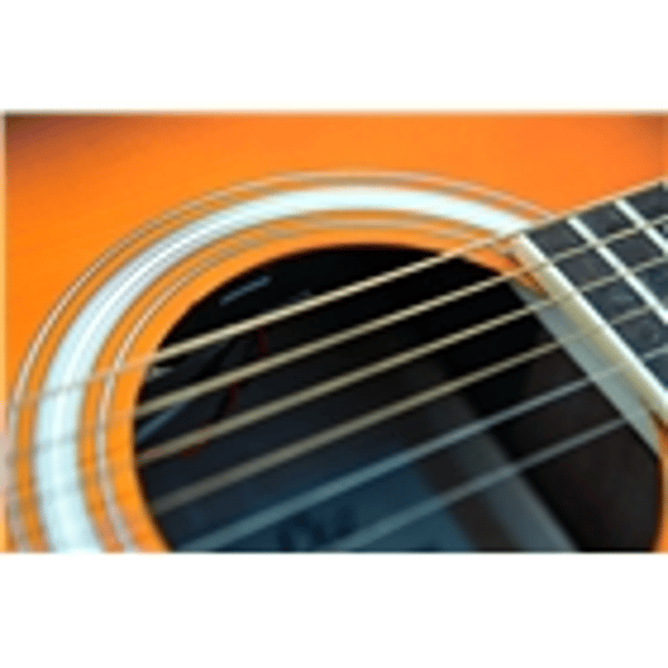 Eko Guitars Ranger VI VR Honey burst