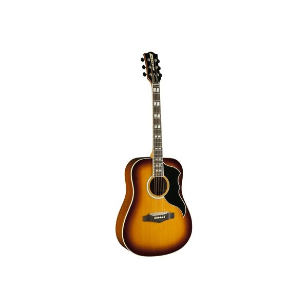 Eko Guitars Ranger VI VR Eq Honey burst