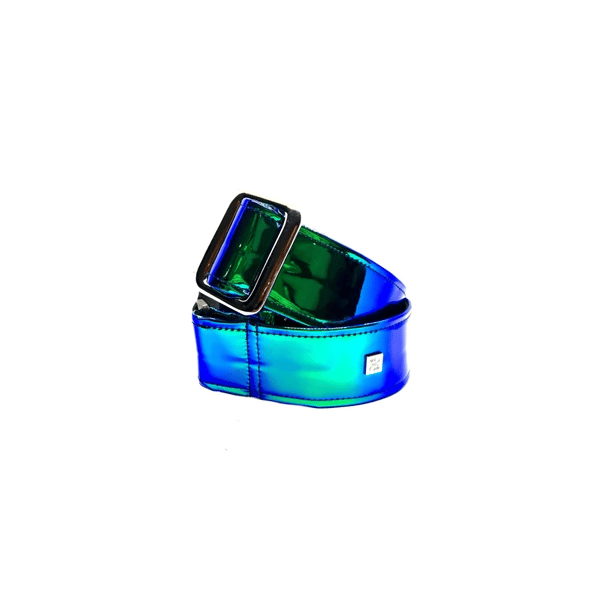 Get'm Get'm Chrome Earth
