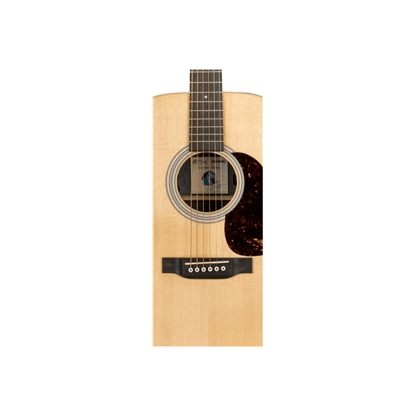 Martin & Co. D-X2E Billy Strings