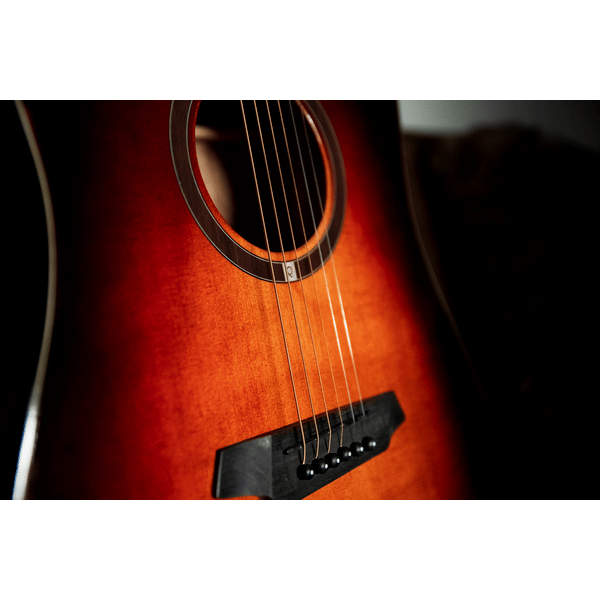 OQAN QGA-100CE SBG (PREAMP)
