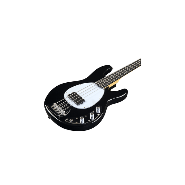 Eko Guitars MM-300 Black