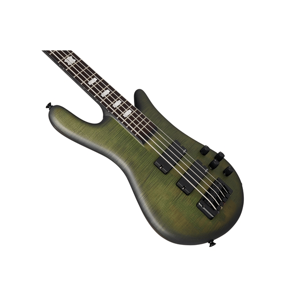 Spector Euro 5 LX - Haunted Moss Matte
