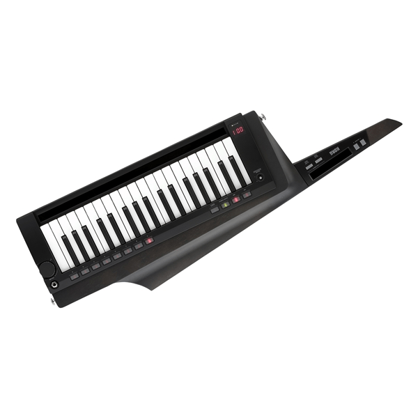 Korg RK-100S2-BLK