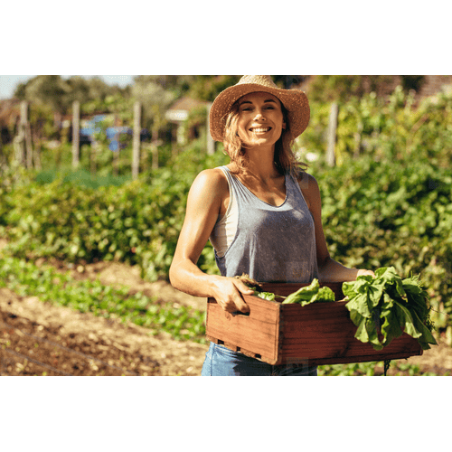 Operatore Agricolo