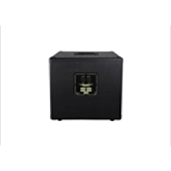 Ashdown RM-110T-EVO III