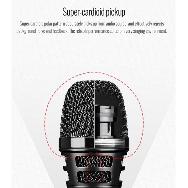 TAKSTAR Microfono dinamico per cantanti dal vivo supercardioide