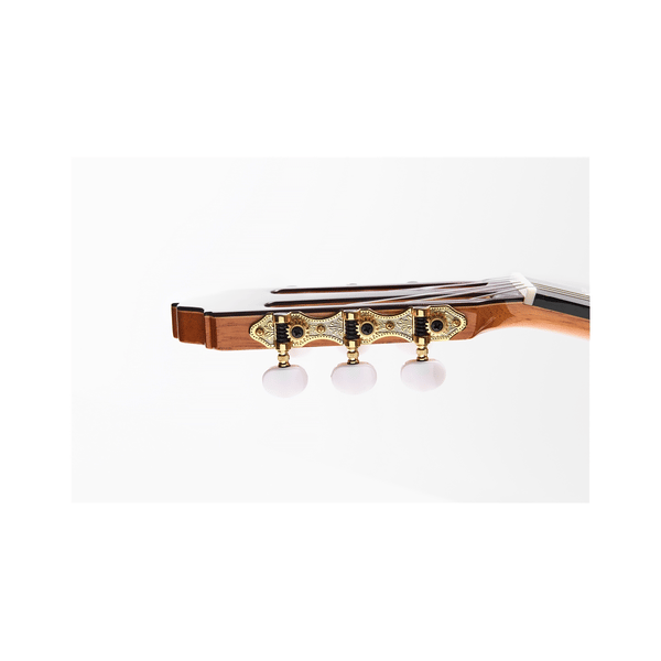 Esteve Alegria Chitarra Classica