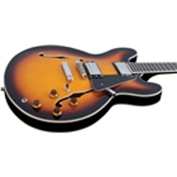 Eko Guitars SA 350