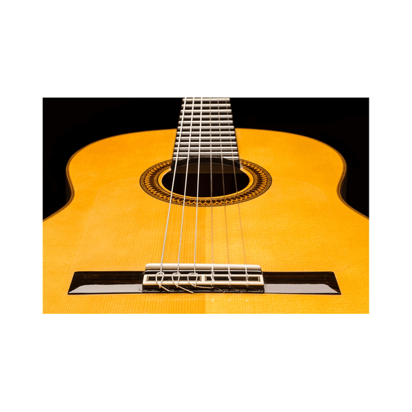 Esteve Adalid Chitarra Flamenca