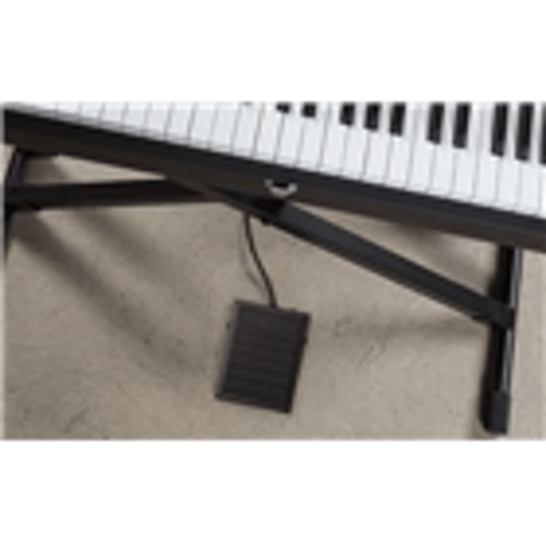 Alesis ASP-1 MKII