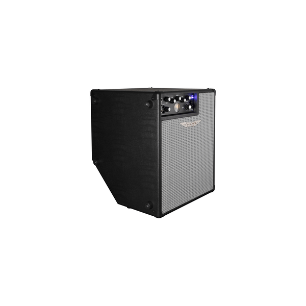 Ashdown ORIGINAL EVO C112-300